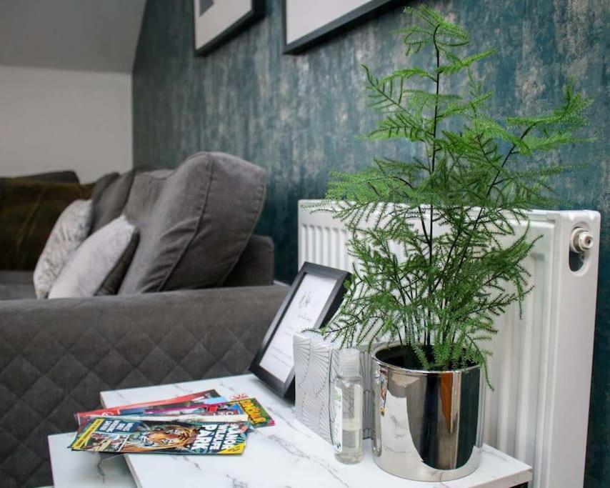 Luxe Living Guest House-Sleeps 6-Private Parking-Free Wifi-Beach-City Swansea Buitenkant foto